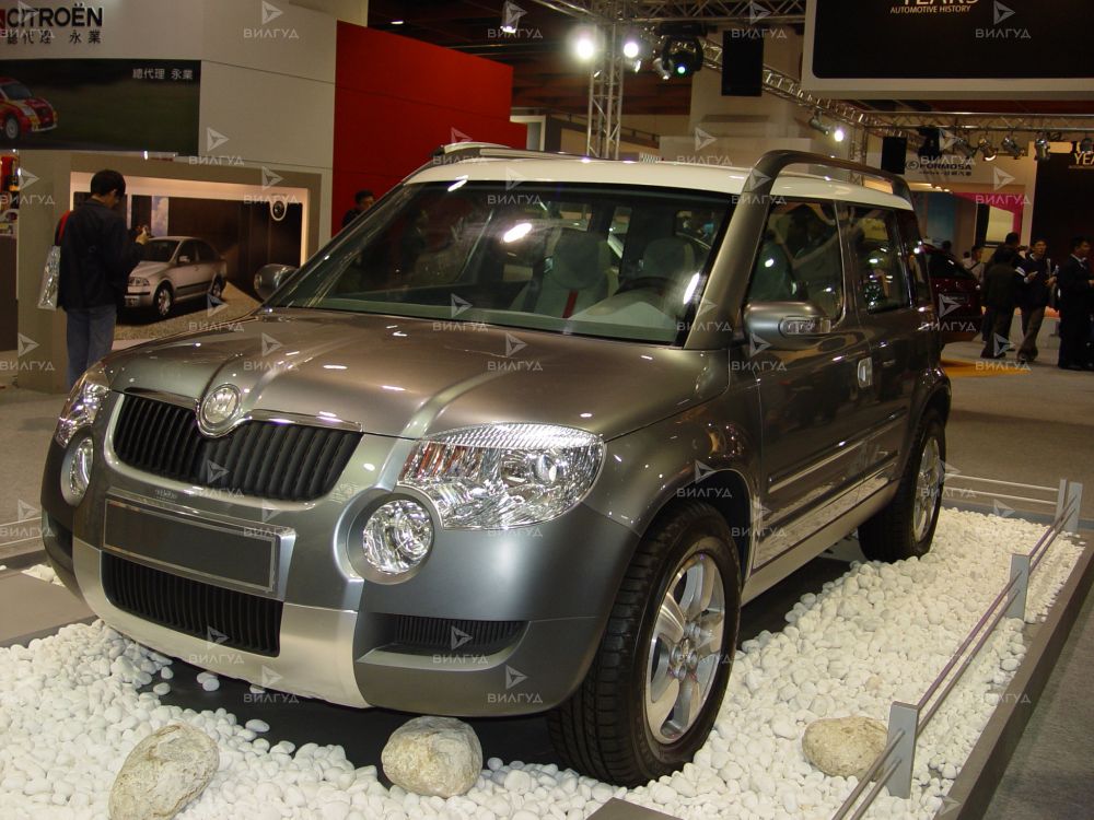 Антибактериальная обработка кондиционера Škoda Yeti в Набережных Челнах Антибактериальная обработка кондиционера Škoda Yeti в Набережных Челнах