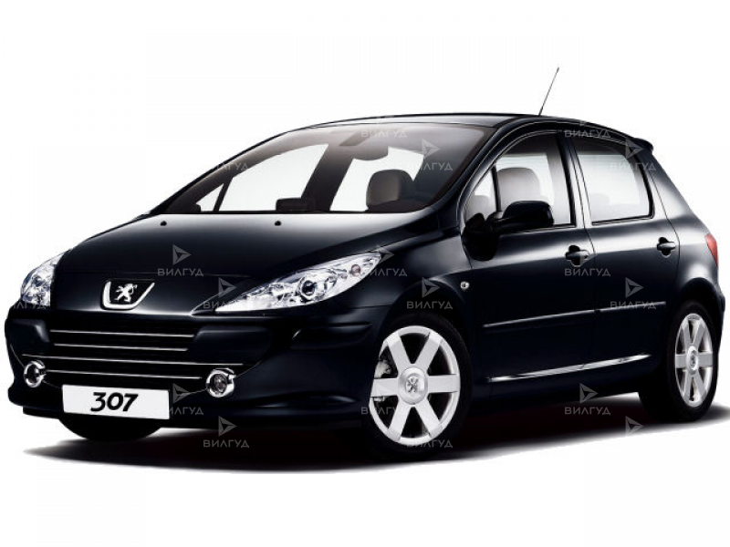Ремонт двигателя Peugeot 307 в Набережных Челнах