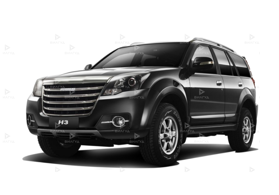 Замена воздушного фильтра Great Wall Hover H3 в Набережных Челнах