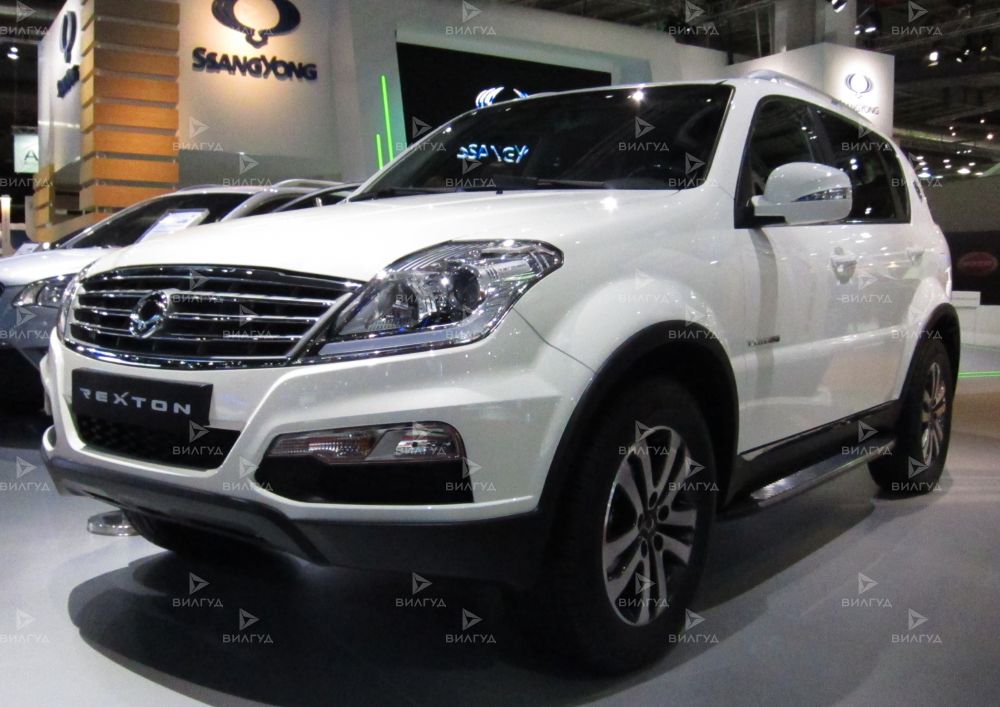 Замена воздушного фильтра Ssangyong Rexton в Набережных Челнах